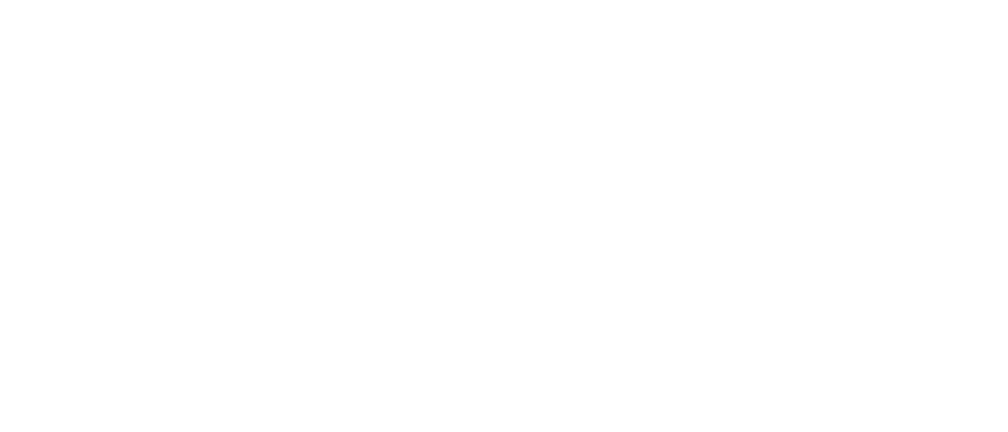 The Hometown Group Logo White Horizontal
